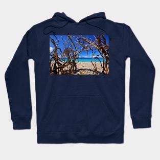 Inside Medusa's head - Ithaca island Hoodie